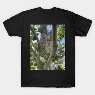 Airplant T-Shirt